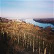 Weinbergwanderung #krems #wachau