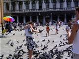 Die Tauben landeten auch auf Menschen